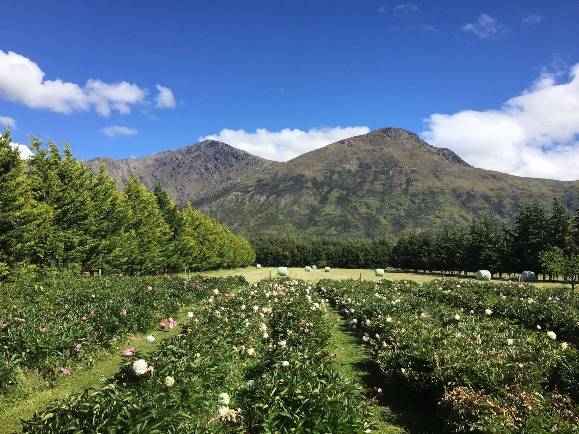 Queenstown Country Lodge Lake Hayes Exterior foto